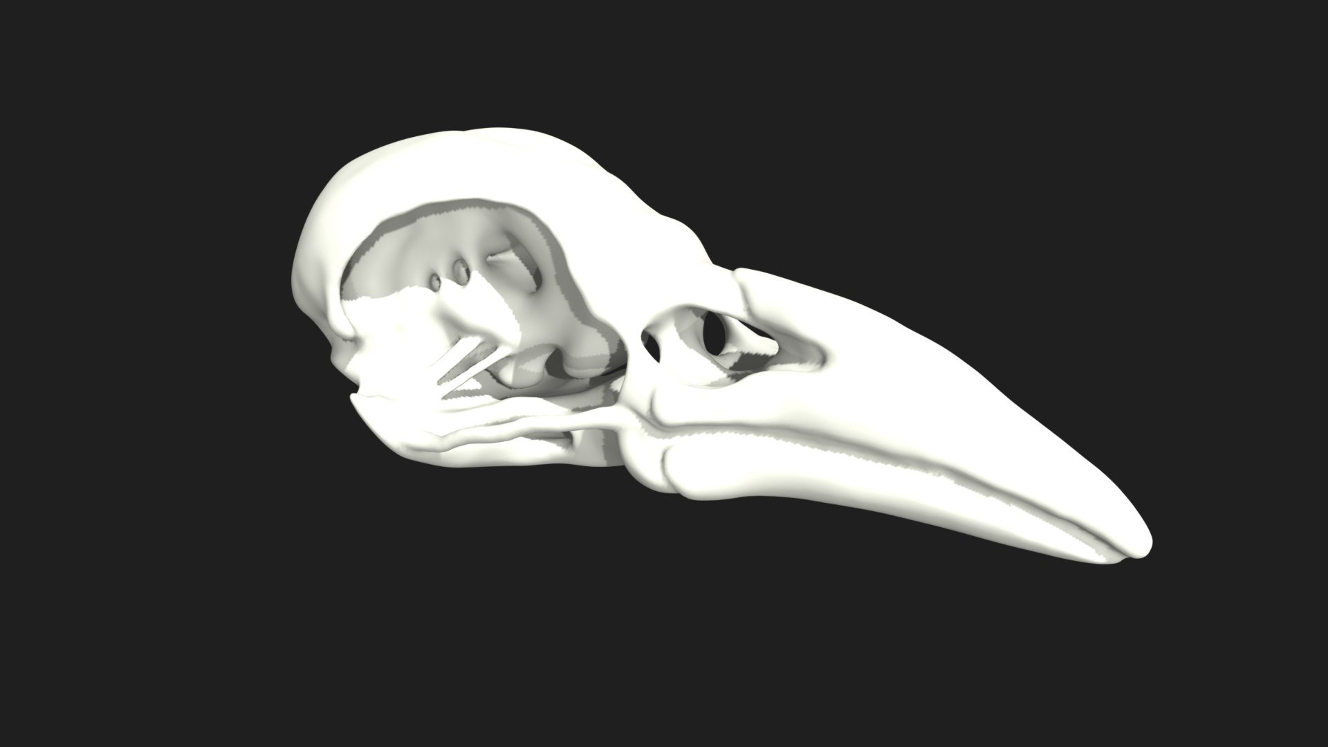3D Raven Crow Skull https://p.turbosquid.com/ts-thumb/Go/aUZNQC/uS/12/jpg/1628027214/1920x1080/fit_q87/504cc5a5f19f5dac7afd0ab9bd284cd253028476/12.jpg