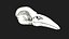 Raven Crow Skull