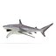 Spinner Shark Rigged 3D Model