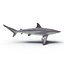 Spinner Shark Rigged 3D Model