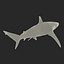 Spinner Shark Rigged 3D Model