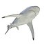 Spinner Shark Rigged 3D Model