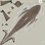 Spinner Shark Rigged 3D Model