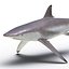 Spinner Shark Rigged 3D Model
