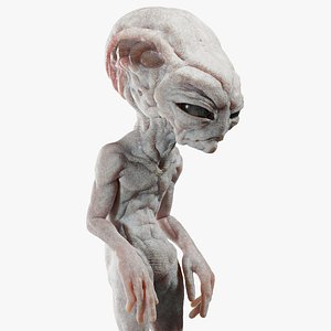 Gray Alien Blender