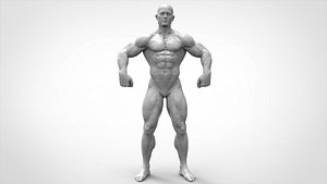 Bodybuilder Pose - Anatomy 3D model