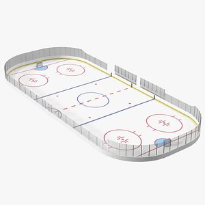 Hockey Rink 3D