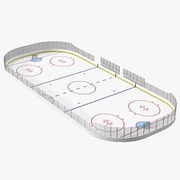 Hockey Rink
