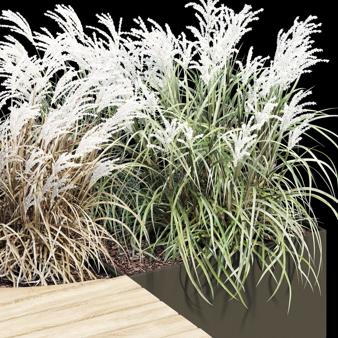 3D Seating island https://p.turbosquid.com/ts-thumb/Go/vTtj3F/9B/dtree_5/jpg/1685385042/1920x1080/fit_q87/5e48334f96e3d3f2cd81db02711476e67bef8084/dtree_5.jpg