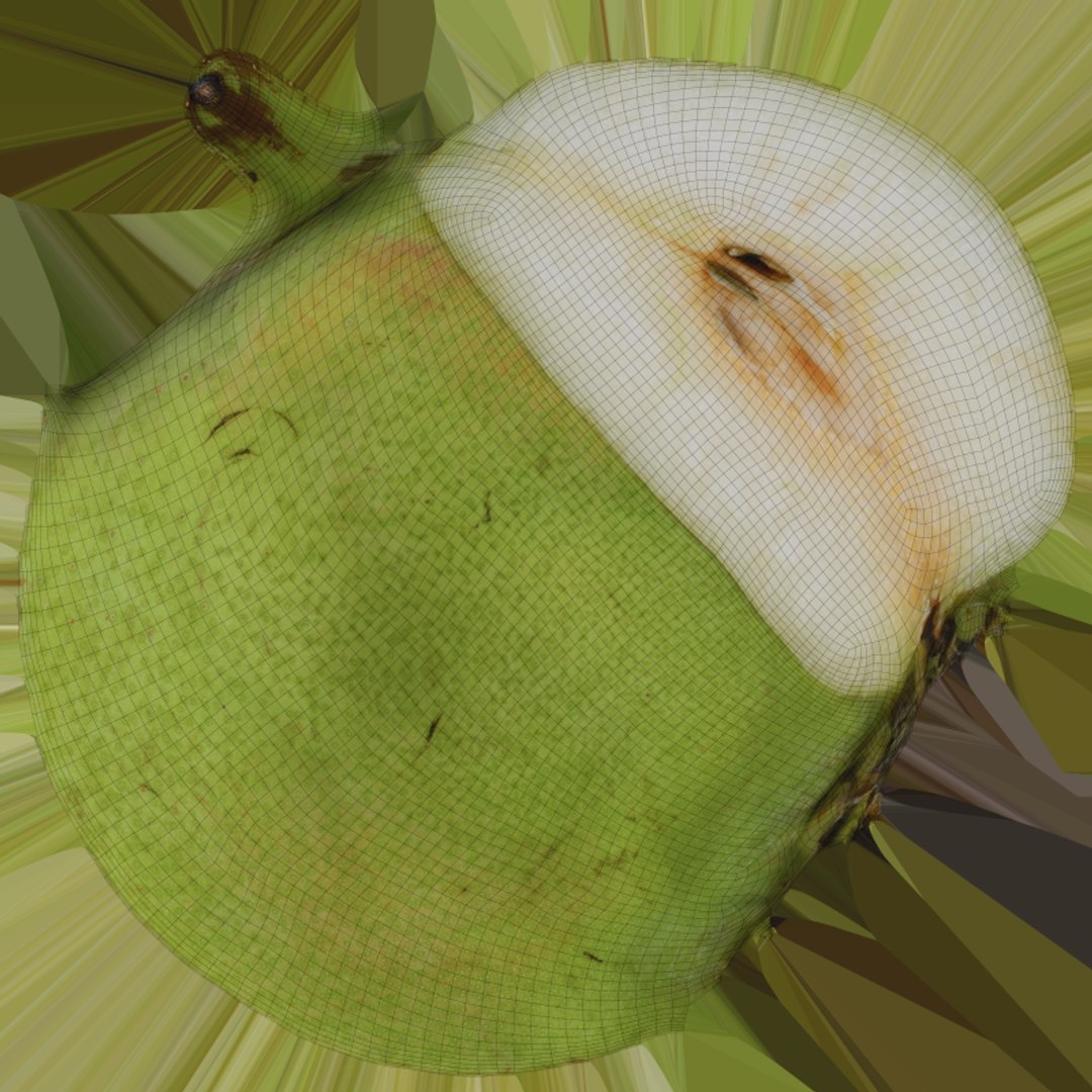 3D Pear Collection https://p.turbosquid.com/ts-thumb/Go/wum2LH/Bx/pearhalf_c0004/png/1770227003/1920x1080/fit_q87/a7de2b88a7114cbc8baab02b8dce149bfba24ad4/pearhalf_c0004.jpg