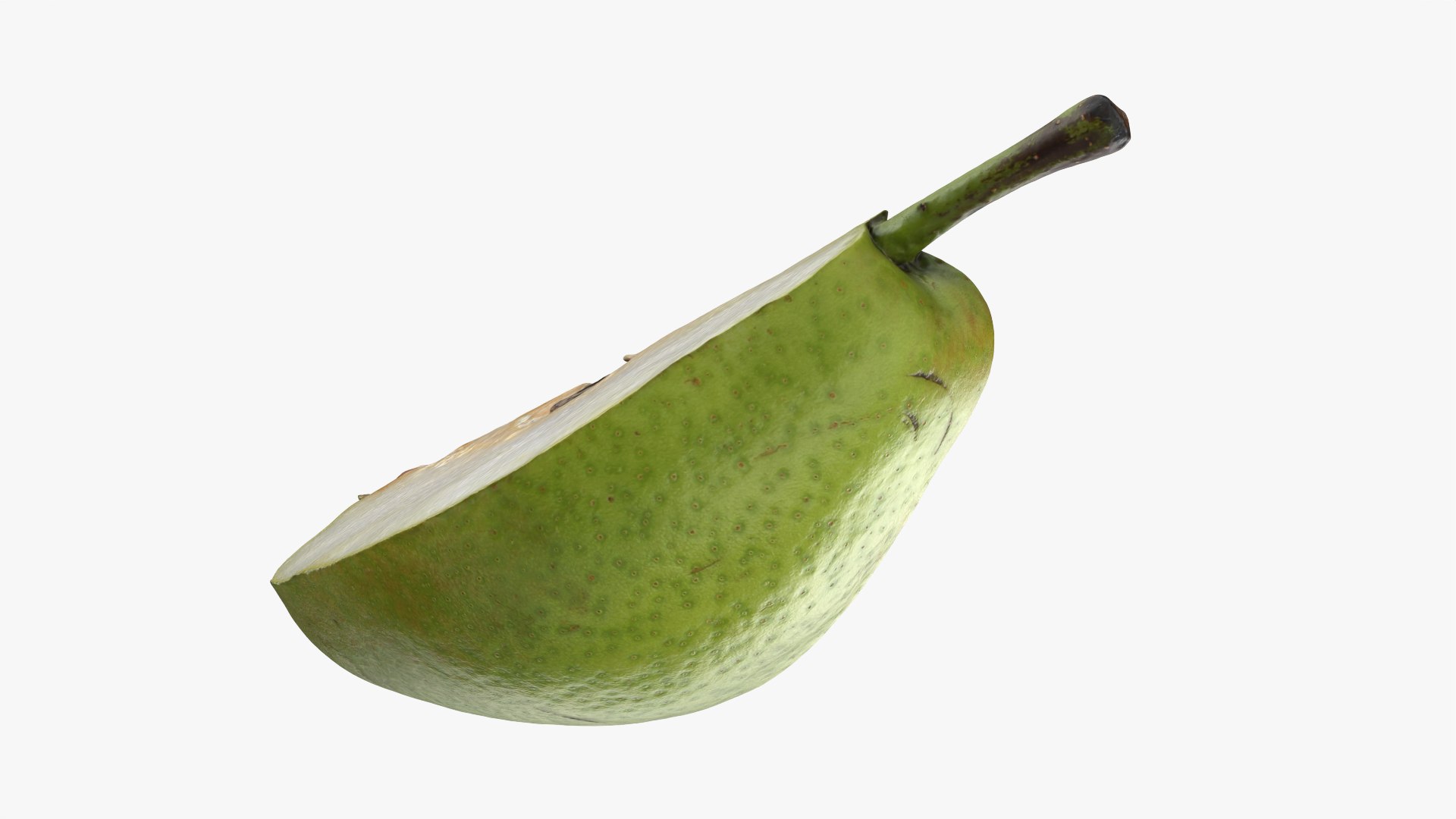 3D Pear Collection https://p.turbosquid.com/ts-thumb/Go/wum2LH/aX/pearslice_0012/png/1770227035/1920x1080/fit_q87/48f2fbcbb20d9122f2b247a4edee7ab4bc5b5b14/pearslice_0012.jpg