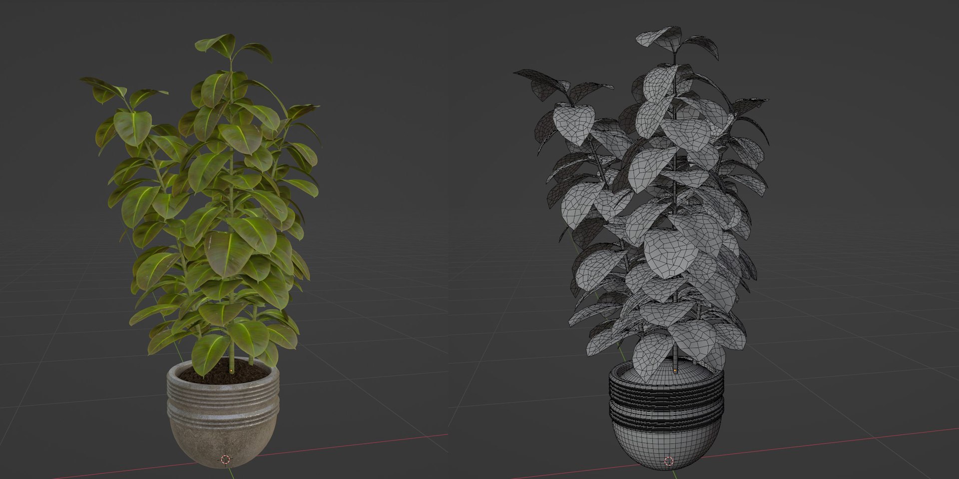 Ficus elastica plant vol 126-Blender 3D model - TurboSquid 2144316