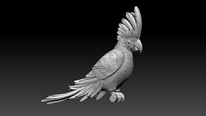 3D parrot