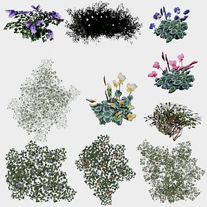 3D 10 in 1 Ornamental flowering plants - Game Assets - Low Poly model