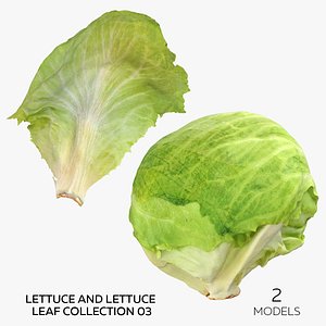 3D Lettuce and Lettuce Leaf Collection 03 - 2 models