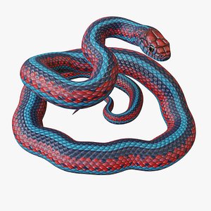 San Francisco Garter Snake - Rigged 3D