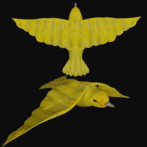 3D Canary Rigged model