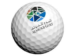 Golf Ball and Hole
