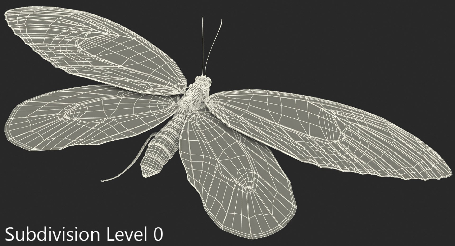 3D ornithoptera alexandrae butterfly https://p.turbosquid.com/ts-thumb/Gp/WYt6jI/5QaCHOpW/ornithopteraalexandraebutterfly3dsmodel009/jpg/1496820116/1920x1080/fit_q87/95d9ae05a0dd8cff4cb07d37f5e3f608b753422e/ornithopteraalexandraebutterfly3dsmodel009.jpg