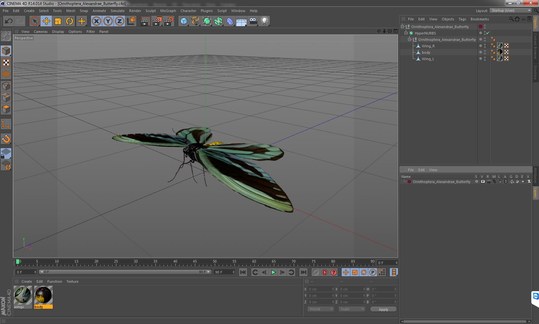 3D ornithoptera alexandrae butterfly https://p.turbosquid.com/ts-thumb/Gp/WYt6jI/CzkCvHB7/ornithopteraalexandraebutterfly3dsmodel014/jpg/1496820116/1920x1080/fit_q87/f2d043468b30678eea0975bfc23f4d677c1d7591/ornithopteraalexandraebutterfly3dsmodel014.jpg