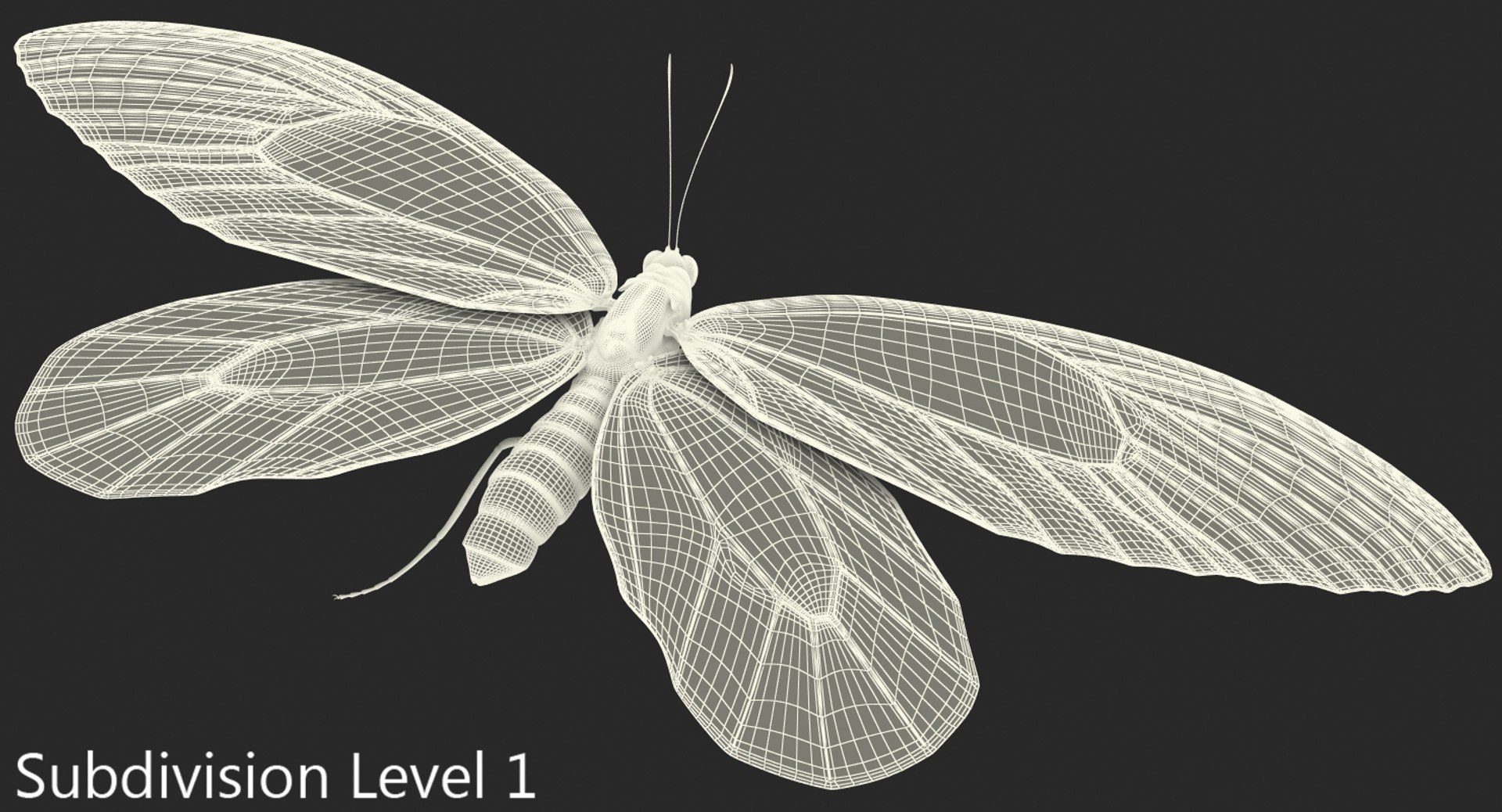 3D ornithoptera alexandrae butterfly https://p.turbosquid.com/ts-thumb/Gp/WYt6jI/N0uVzmkZ/ornithopteraalexandraebutterfly3dsmodel010/jpg/1496820116/1920x1080/fit_q87/141265803ca672afc39dee953d675560bd97b9a1/ornithopteraalexandraebutterfly3dsmodel010.jpg