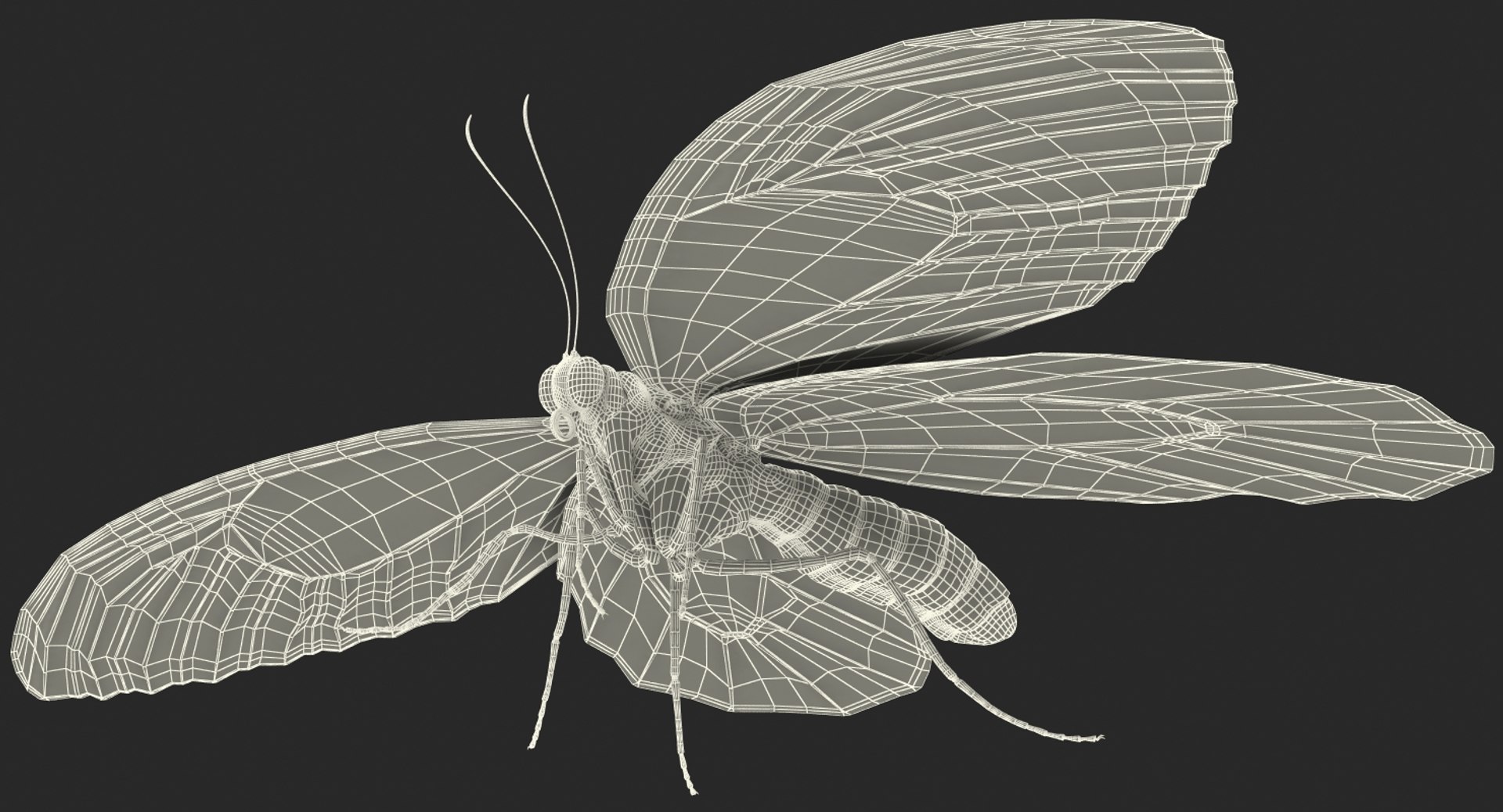 3D ornithoptera alexandrae butterfly https://p.turbosquid.com/ts-thumb/Gp/WYt6jI/XhfuoGac/ornithopteraalexandraebutterfly3dsmodel019/jpg/1496820116/1920x1080/fit_q87/ae336be4eaa2c2e95905385f299fa75870b685a6/ornithopteraalexandraebutterfly3dsmodel019.jpg