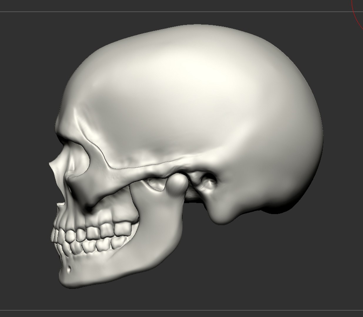 human skull 3d obj