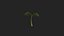 Plant Sprout