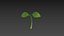 Plant Sprout