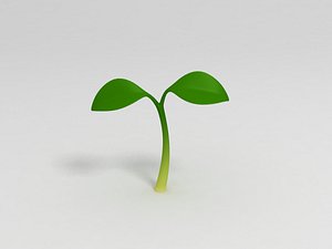 Plant Sprout