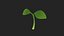 Plant Sprout