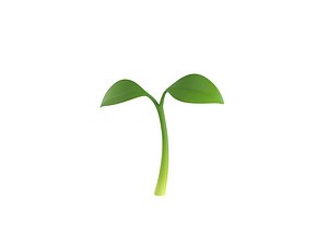 Plant Sprout