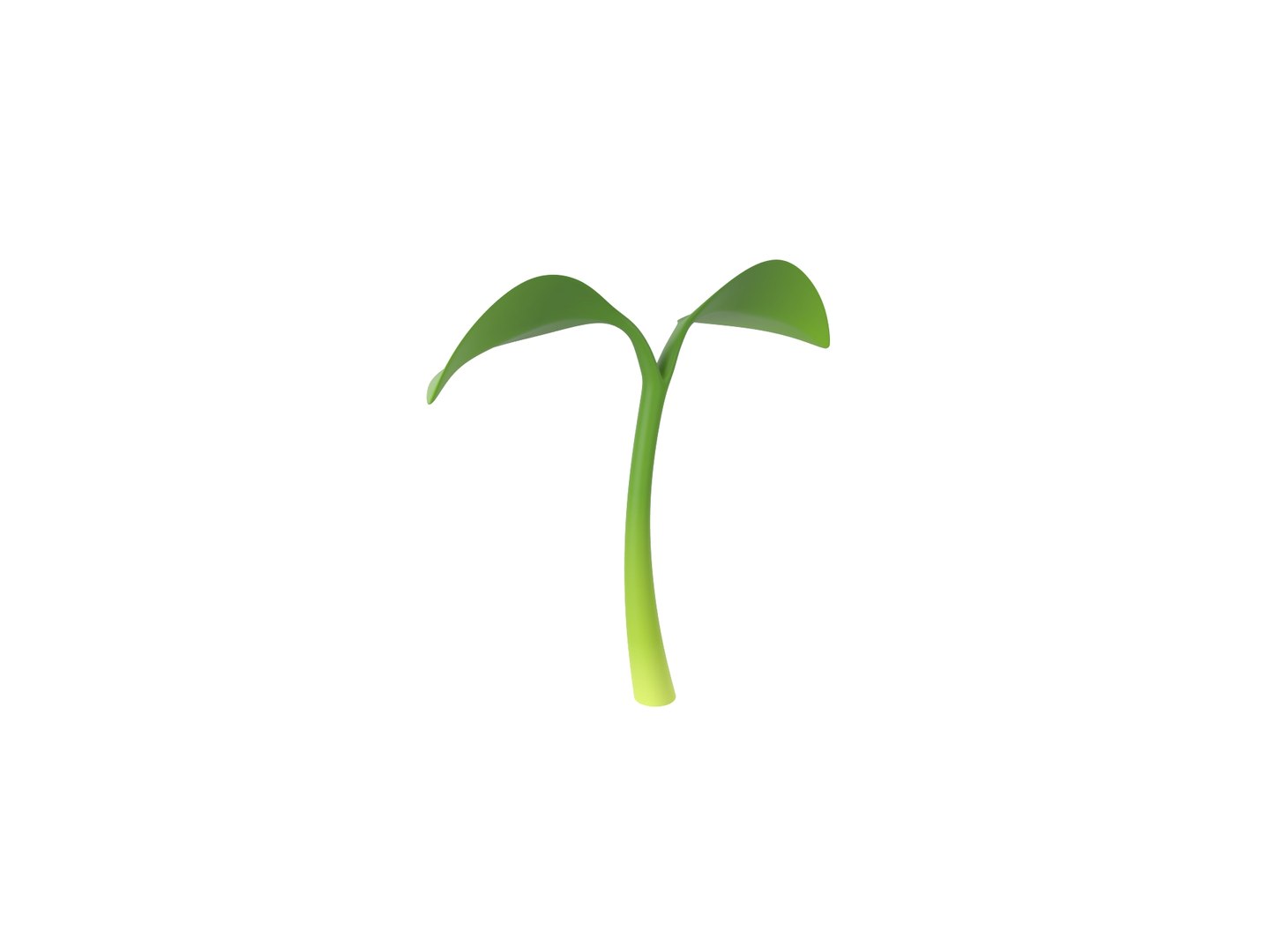 sprout 3D model https://p.turbosquid.com/ts-thumb/Gp/bjpShj/OJ/rend_0006/jpg/1688439568/1920x1080/fit_q87/046abf30aa750fe79437c9ea5339f18ed225e347/rend_0006.jpg