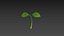 Plant Sprout