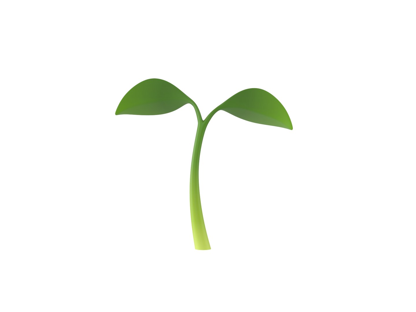 sprout 3D model https://p.turbosquid.com/ts-thumb/Gp/bjpShj/XG/rend_0005/jpg/1688439567/1920x1080/fit_q87/49326c18b2c08ebcbe7f14fc7c7bb1ed277f5dd9/rend_0005.jpg