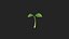Plant Sprout