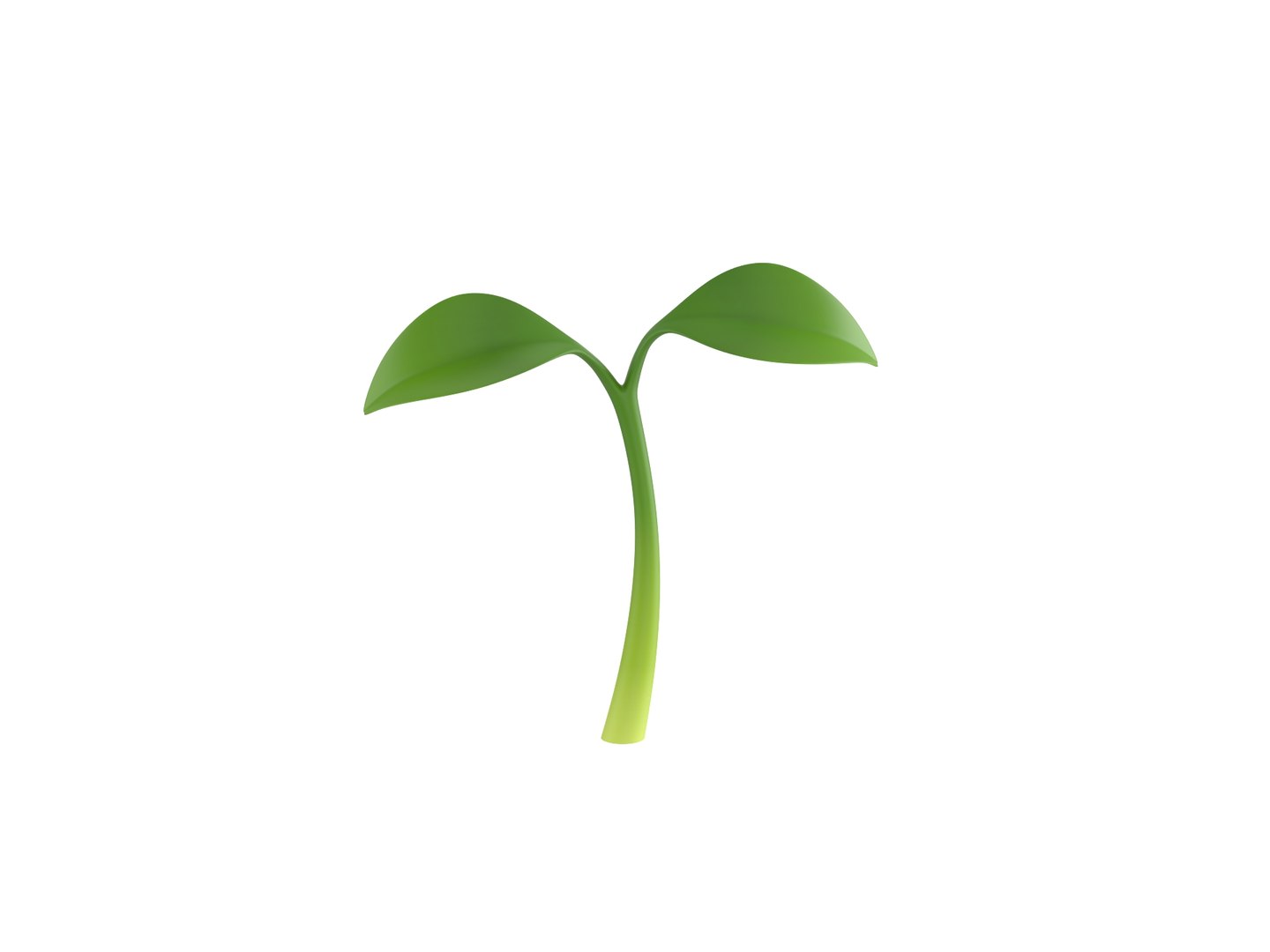 sprout 3D model https://p.turbosquid.com/ts-thumb/Gp/bjpShj/v7/rend_0001/jpg/1688439565/1920x1080/fit_q87/0fafbdde58dda1cd2a38bc49e8613764f0b2071d/rend_0001.jpg