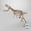 Esqueleto de Tiranosaurio Rex 03 b