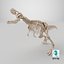 Esqueleto de Tiranosaurio Rex 03 b