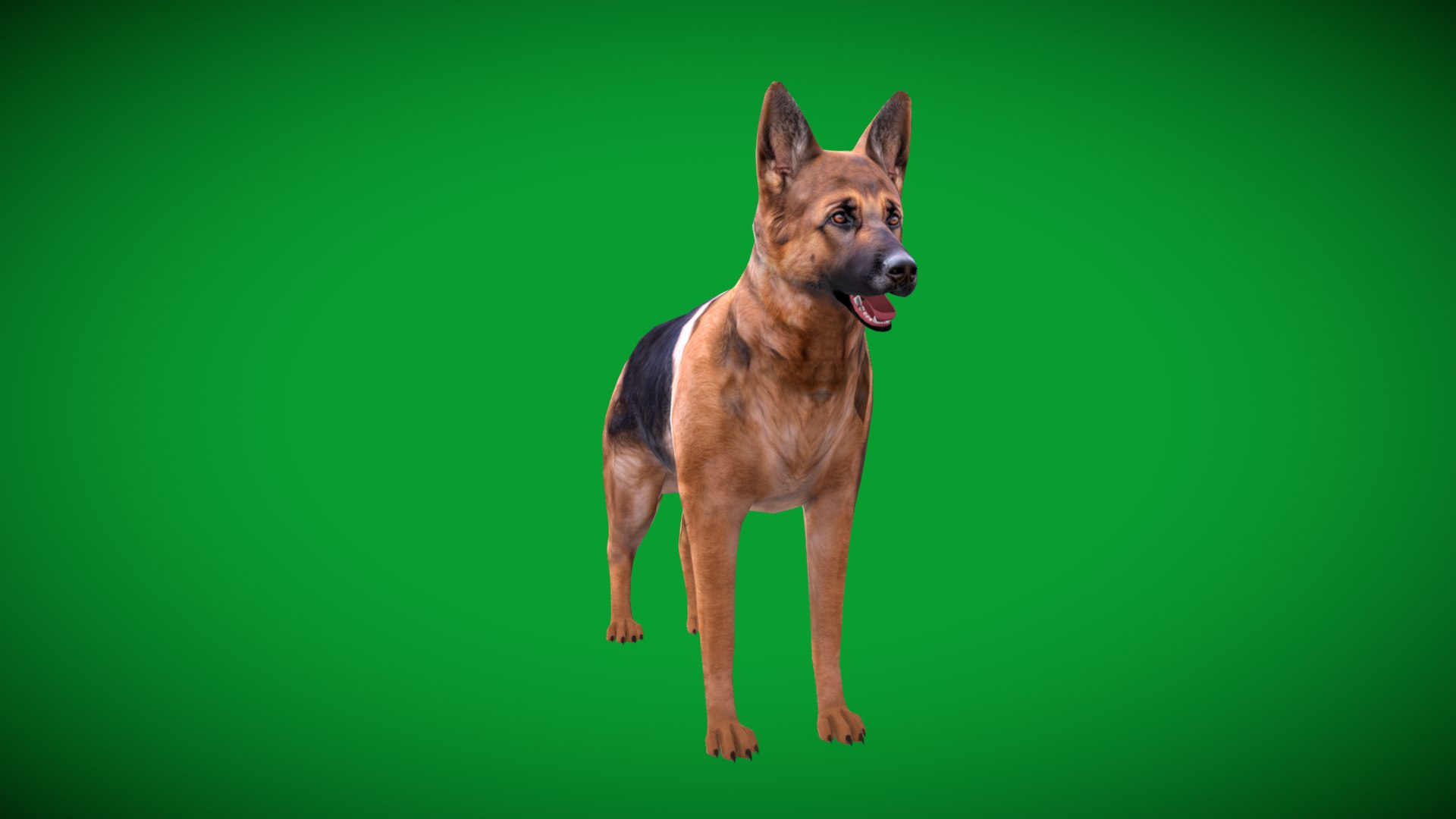 German Shepherd Dog model https://p.turbosquid.com/ts-thumb/Gp/hwq7rv/42/german_shepherd_lowpoly8/png/1767831125/1920x1080/fit_q87/1e17b5ba2585c15603f491919abe312385ef0bb5/german_shepherd_lowpoly8.jpg