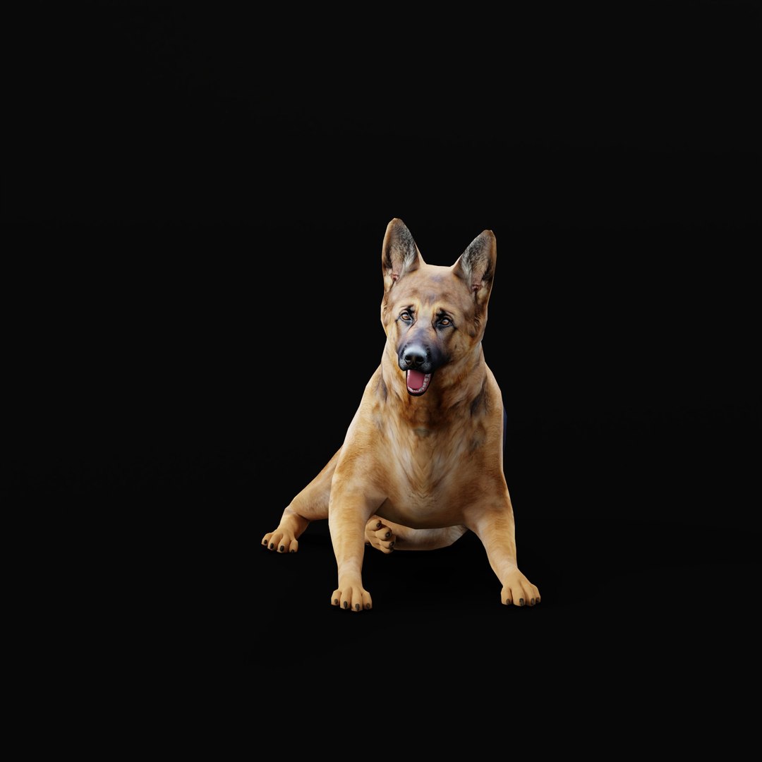 German Shepherd Dog model https://p.turbosquid.com/ts-thumb/Gp/hwq7rv/9h/germanshepherdao_0008/jpg/1767831106/1920x1080/fit_q87/6a575cc2884cb5daf30132ae05afec88d776cb28/germanshepherdao_0008.jpg