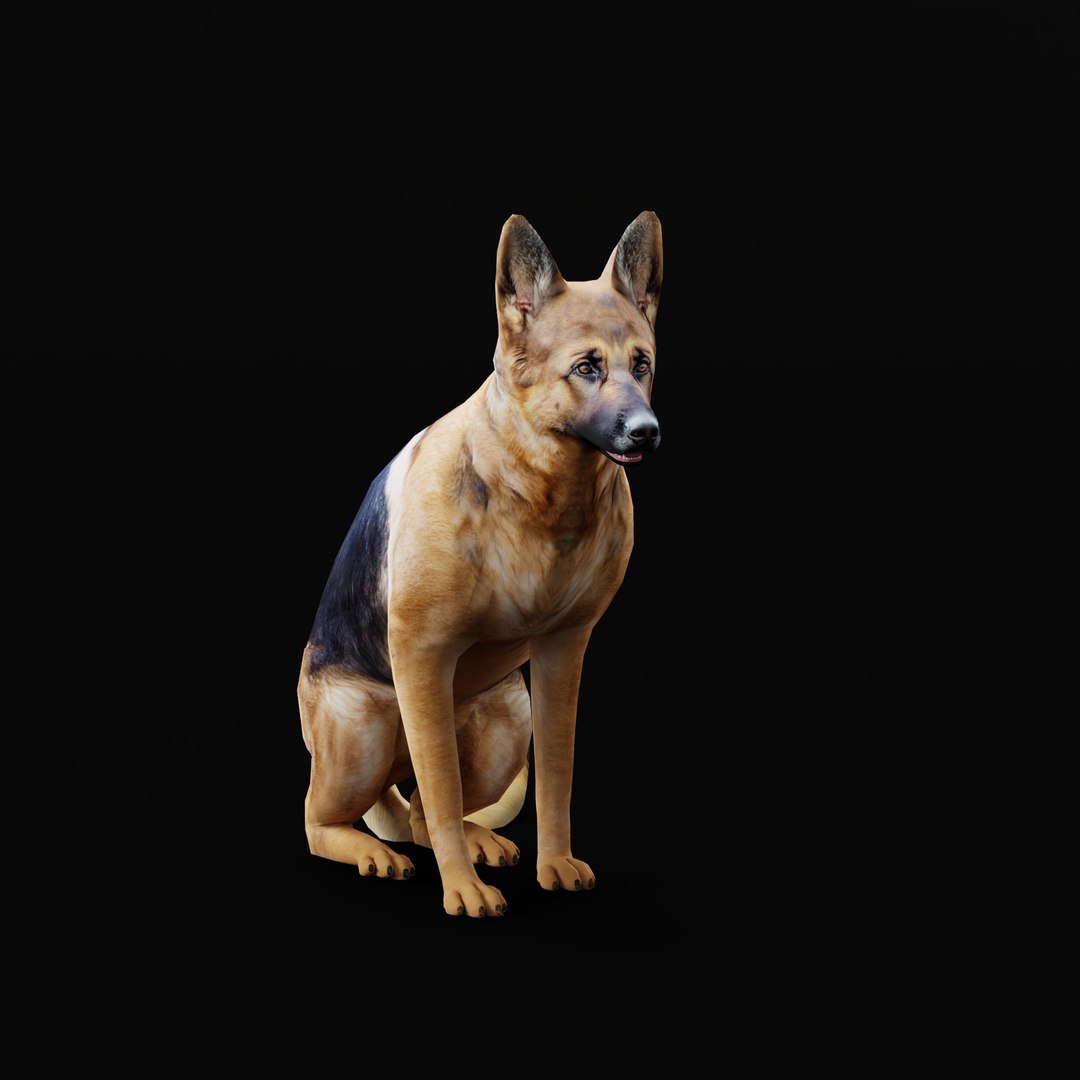 German Shepherd Dog model https://p.turbosquid.com/ts-thumb/Gp/hwq7rv/Ed/germanshepherdao_0007/jpg/1767831106/1920x1080/fit_q87/8df4ef14c5f6b5985afda120ca95bfb5f72da134/germanshepherdao_0007.jpg