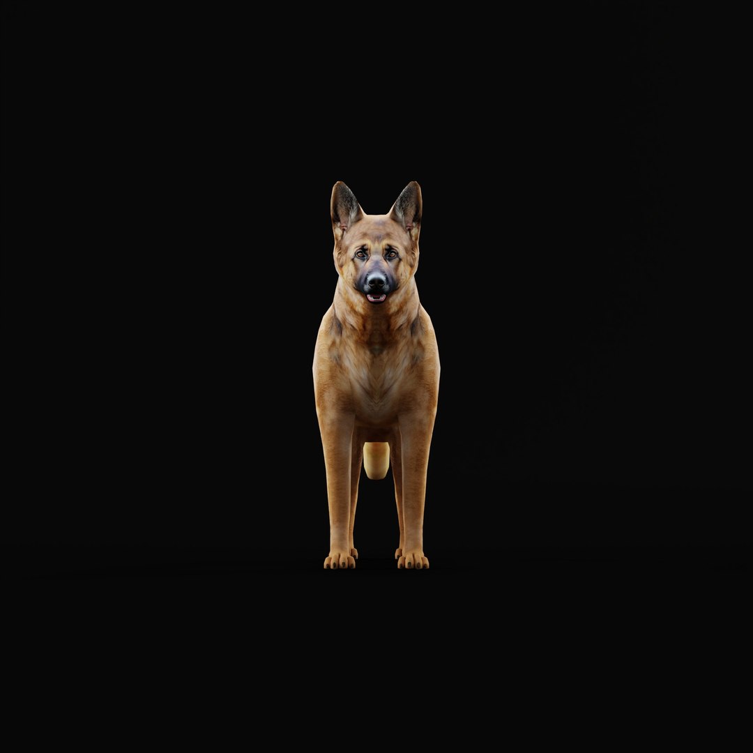 German Shepherd Dog model https://p.turbosquid.com/ts-thumb/Gp/hwq7rv/NT/germanshepherdao/jpg/1767831102/1920x1080/fit_q87/e689fd7ab56bdb12d57a0ab216979166f1bd879c/germanshepherdao.jpg