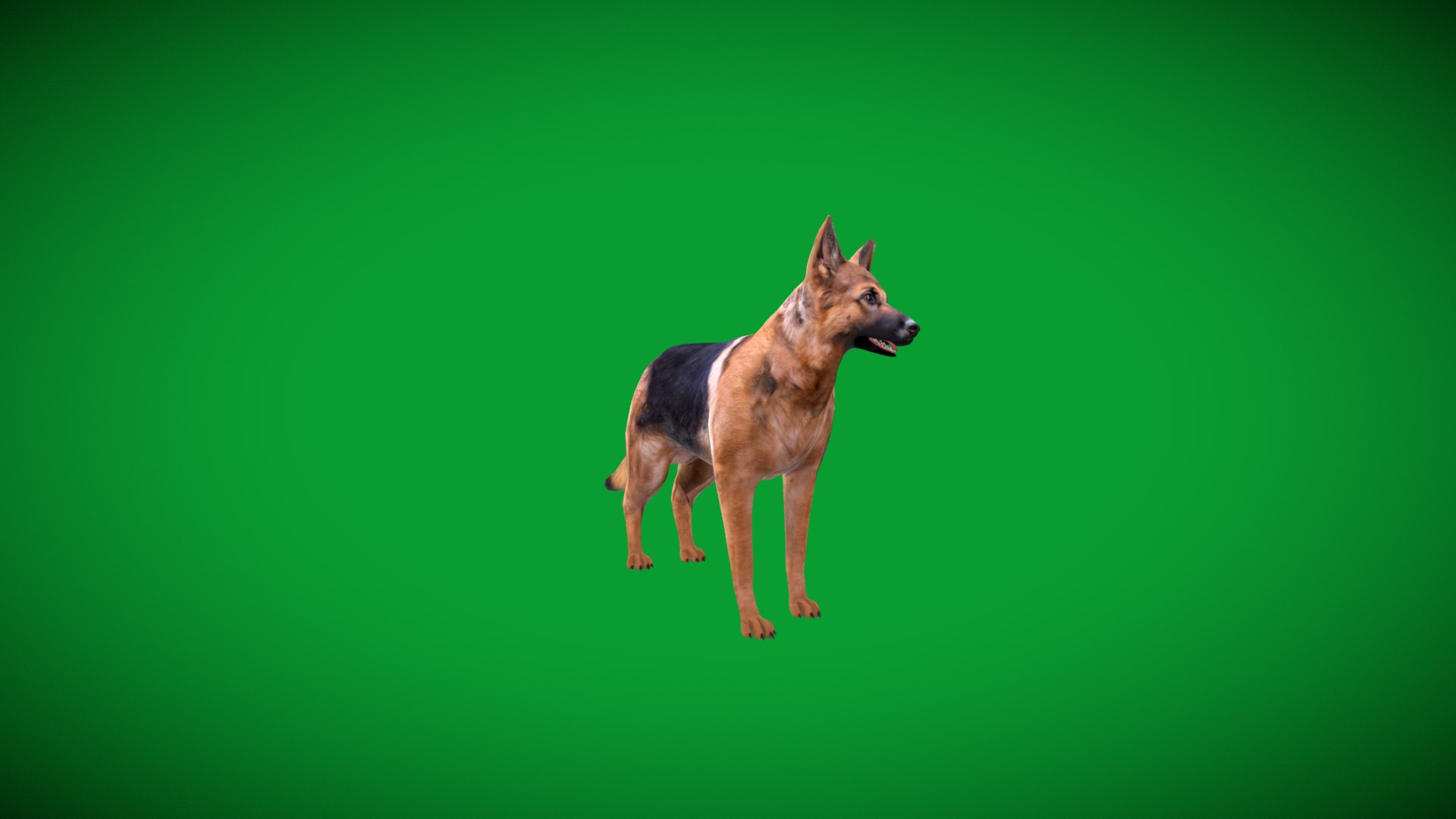 German Shepherd Dog model https://p.turbosquid.com/ts-thumb/Gp/hwq7rv/UN/german_shepherd_lowpoly/png/1767831138/1920x1080/fit_q87/9614bdd78481a241e62af8c18a346f06ddeba984/german_shepherd_lowpoly.jpg