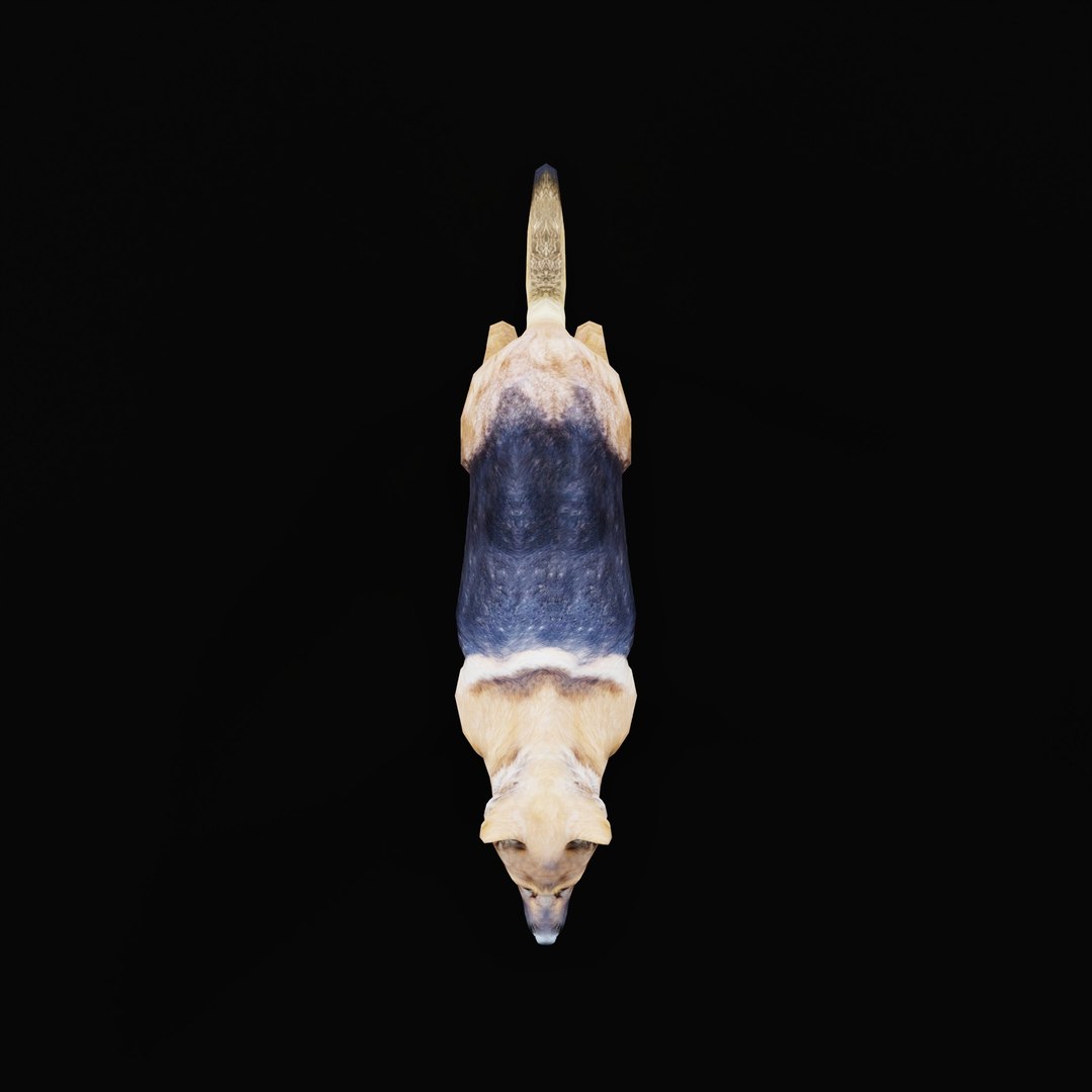 German Shepherd Dog model https://p.turbosquid.com/ts-thumb/Gp/hwq7rv/VH/germanshepherdao_0002/jpg/1767831103/1920x1080/fit_q87/943559925d0491d2c2c48edc4b7c932b8f2a4c60/germanshepherdao_0002.jpg