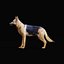 German Shepherd Dog