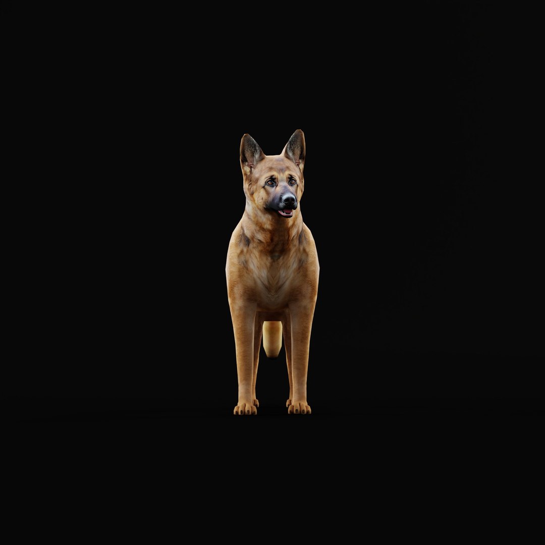 German Shepherd Dog model https://p.turbosquid.com/ts-thumb/Gp/hwq7rv/b2/germanshepherdao_0005/jpg/1767831105/1920x1080/fit_q87/4a2f94afaab7b67ef97243ffea0b2bd5bd8d11fd/germanshepherdao_0005.jpg
