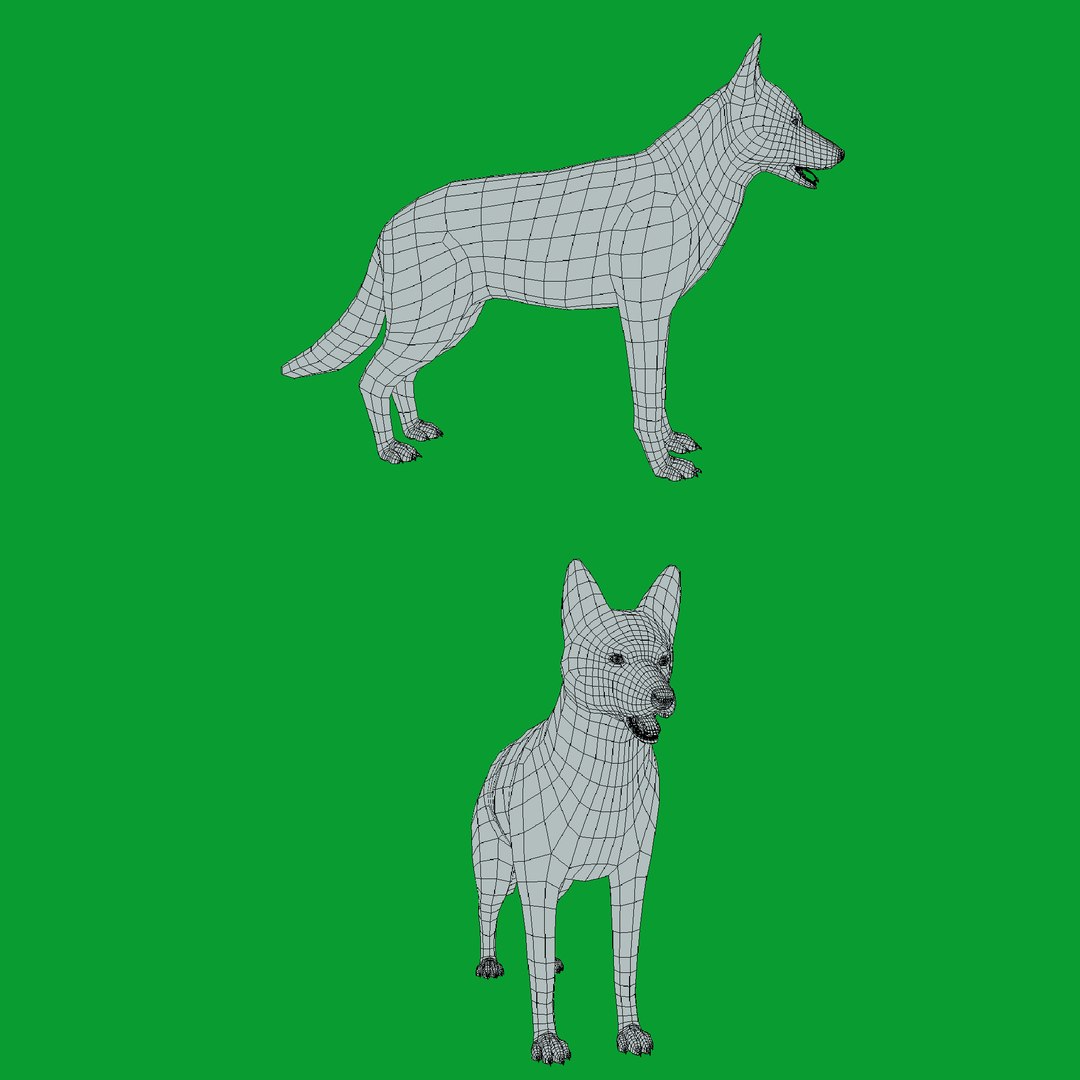 German Shepherd Dog model https://p.turbosquid.com/ts-thumb/Gp/hwq7rv/eD/wire/png/1767831139/1920x1080/fit_q87/4e7a893f93f1b5b30d8ba8da40f764ba3fa91d68/wire.jpg