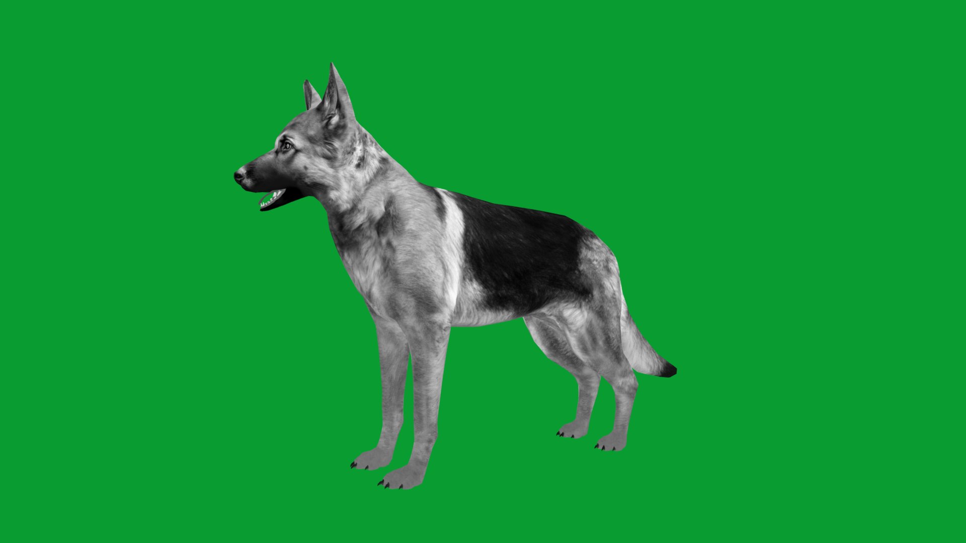 German Shepherd Dog model https://p.turbosquid.com/ts-thumb/Gp/hwq7rv/fX/german_shepherd_lowpoly14/png/1767831129/1920x1080/fit_q87/d92ec9e4ef381bfcf0f04e0929e01fcedd7fd434/german_shepherd_lowpoly14.jpg