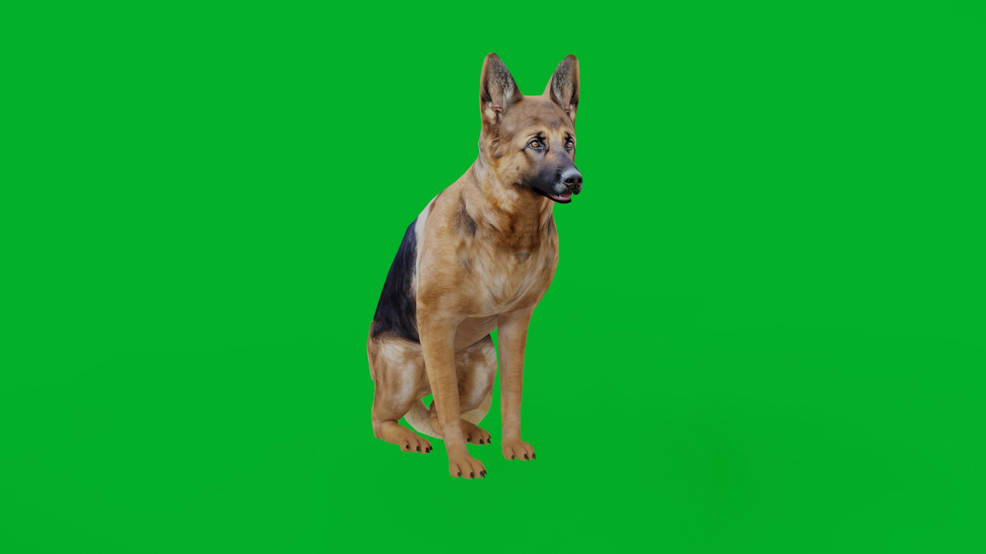 German Shepherd Dog model https://p.turbosquid.com/ts-thumb/Gp/hwq7rv/ft/german_shepherd_preview3/png/1767831101/1920x1080/fit_q87/f3a38dc599064845e0a2cf10433318b53cd97885/german_shepherd_preview3.jpg